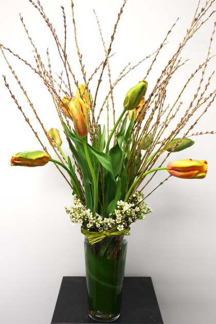 The French Tulips