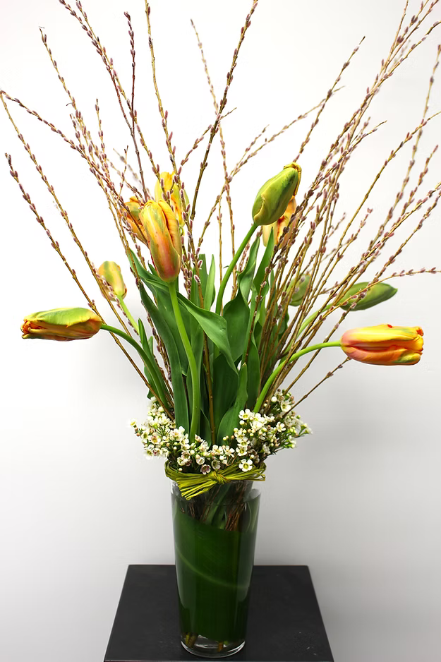 The French Tulips