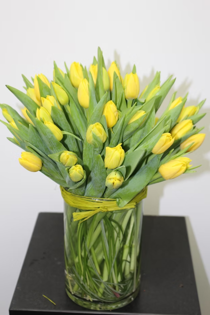 Tulips Galore