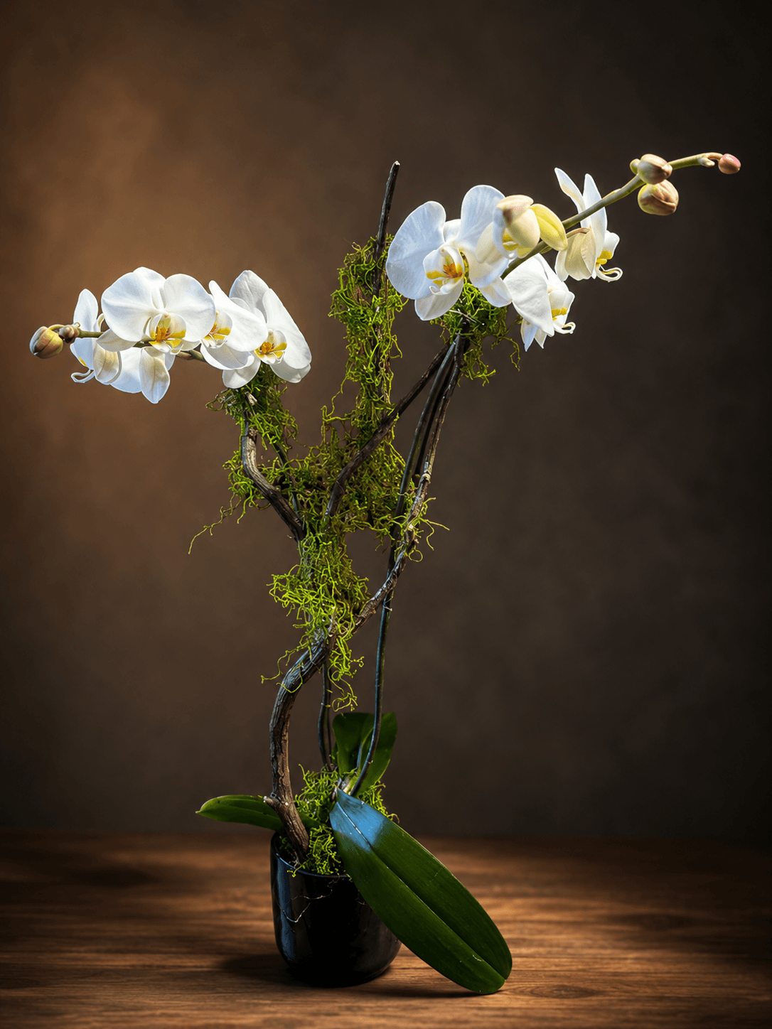 Double Orchid - Image 2