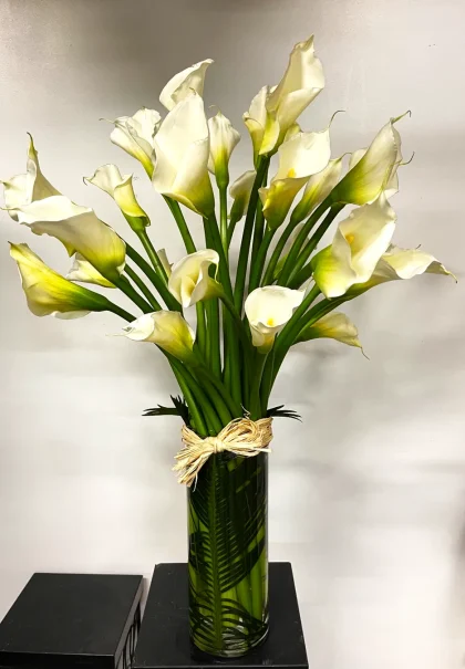 The Classic Large White Calls In A Cynliner Vase